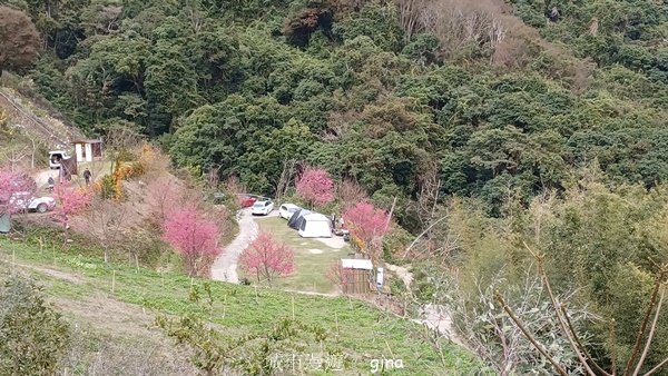 【苗栗泰安】水雲三星最終回。 橫龍山x橫龍山北峰x騰龍山(有極佳的展望)2061892