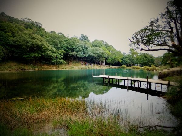 【湖景步道】新山夢湖尋幽記140832
