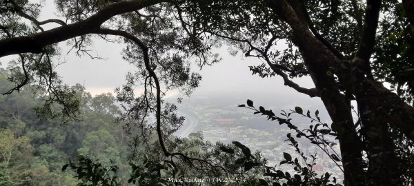 《苗栗》霧雨寒流｜三義三角山步道202512252969249