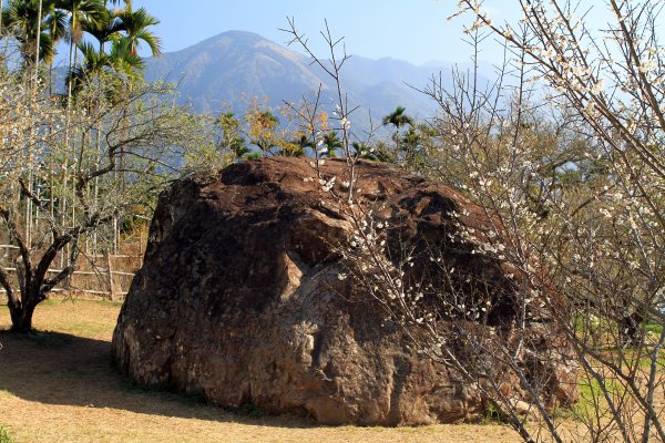 【南投~信義 】牛稠坑賞梅1254930