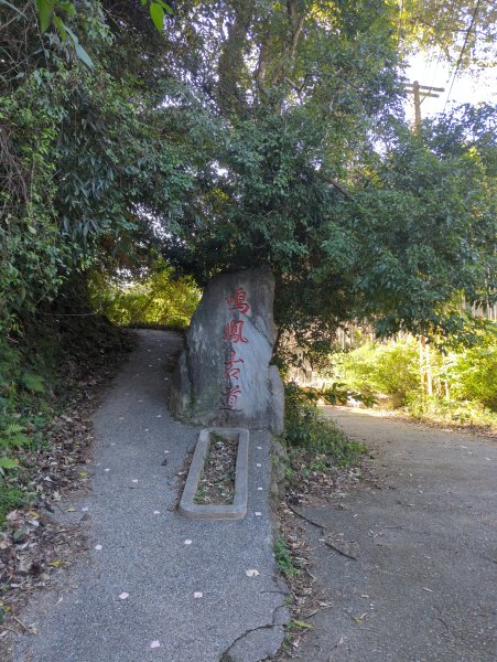 2025.11.15－鳴鳳古道2942983