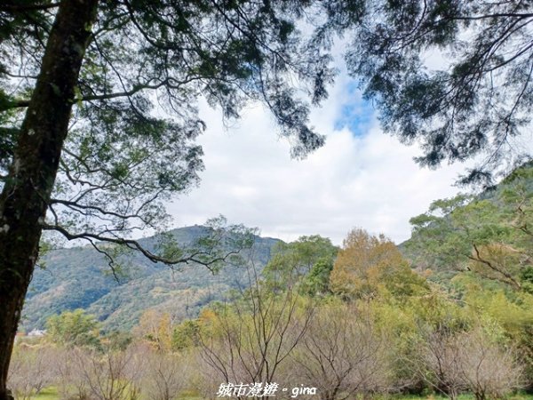 【南投仁愛】武界部落采風2972887
