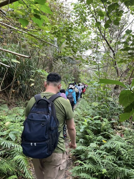 阿郎壹古道3014522