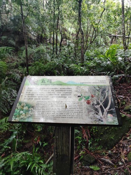 微笑山線：【五分山系】菁桐煤礦段、平溪小黃山段、望古瀑布段2841295