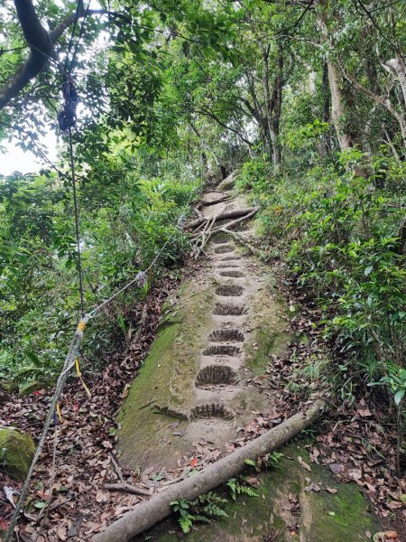 金面山/白石山-小百岳#21-桃園市大溪區2247871