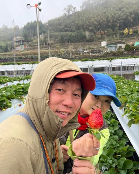 小百岳馬那邦山(H1407m)加碼採草莓2694727