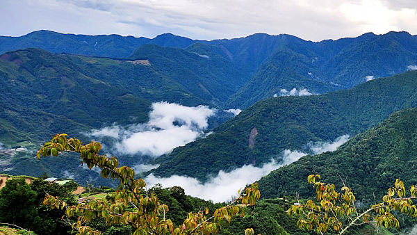 【中級山】雲海的故鄉，觀霧榛山步道，榛山，榛山北峰