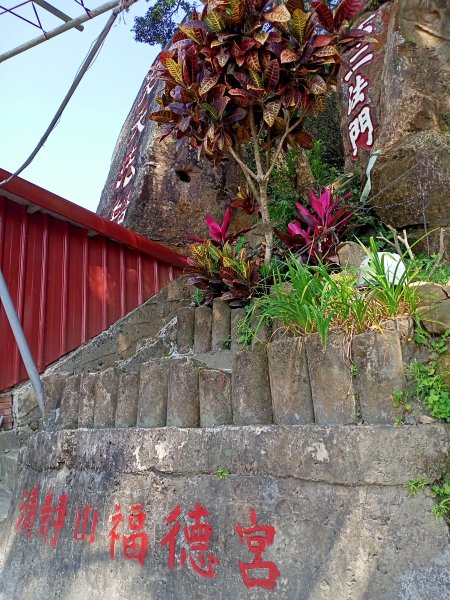 象獅豹虎-四獸山探秘之象山秘境（2-1 捷運象山站→無極瑤池宮）2065502