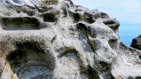 洄瀾東海岸3006672