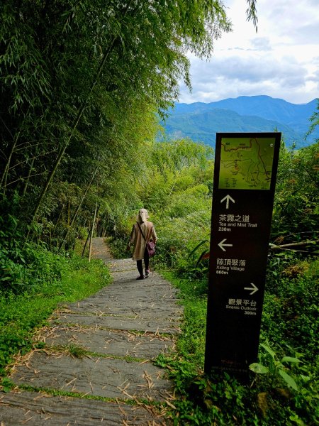 二延平步道&茶霧之道2636684