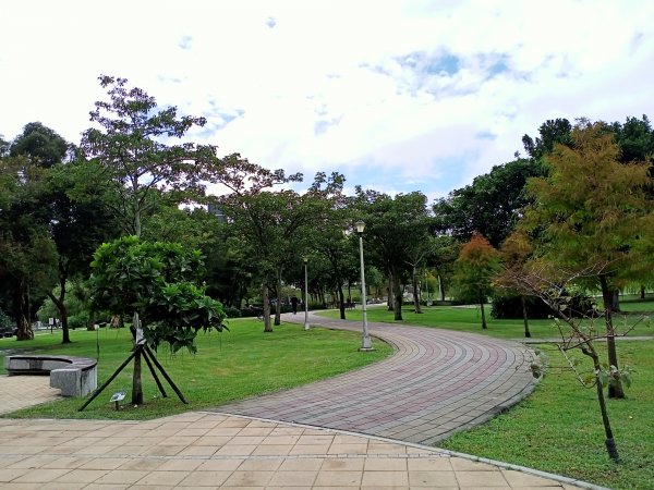 大湖公園 (防災公園)、台大椰林步道、大安森林公園《瘋狂愛尋寶》【南山神壽任務】【走路趣尋寶】1886453