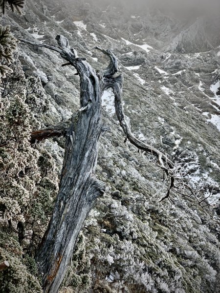 糖霜玉山主峰1556762