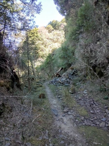 20240222特富野>>塔塔加   🧗塔特縱走⛰️2434743