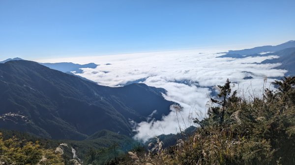 關山嶺山步道2436158