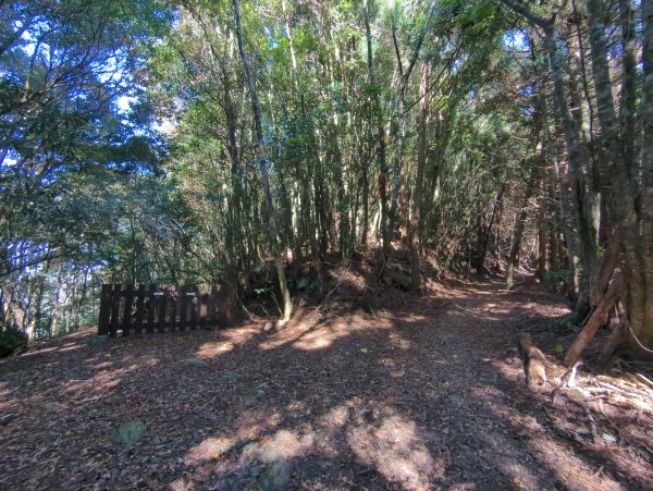 2025.12.06－北坑山步道&雪見遊憩區2956250