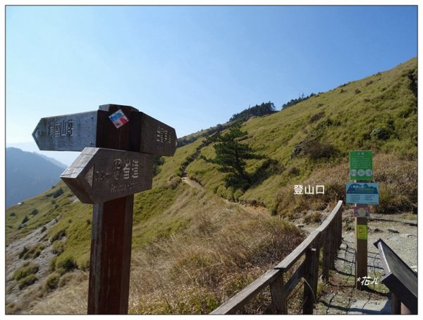 合歡山東峰1319726