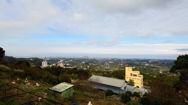 20260125 陽明山前後山健行(無極天元宮~山仔頂步道.向天池.向天山.面天山.二子坪)2997943