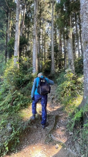 尖石🌳羅山林道野營-油羅山-竹苗小百岳3133061