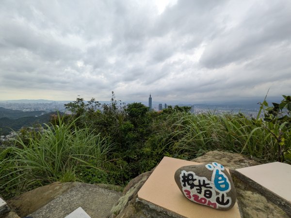 2025-05-17 三進三出九五峰 (象山、中華科大、麗山橋)2796896