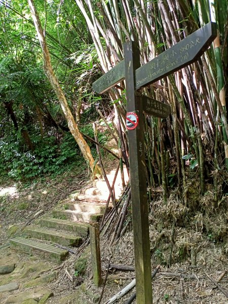 【新北-臺灣百大必訪步道】流水淙淙的三貂嶺瀑布群步道1455518