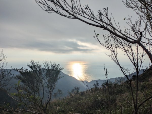 20251108桃源谷到草嶺古道大里天公廟2931448