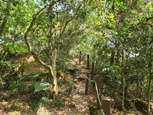 龍麟山步道2748682