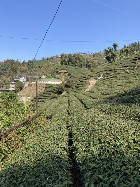 20260217月眉山+海鼠山+奮瑞古道3001650