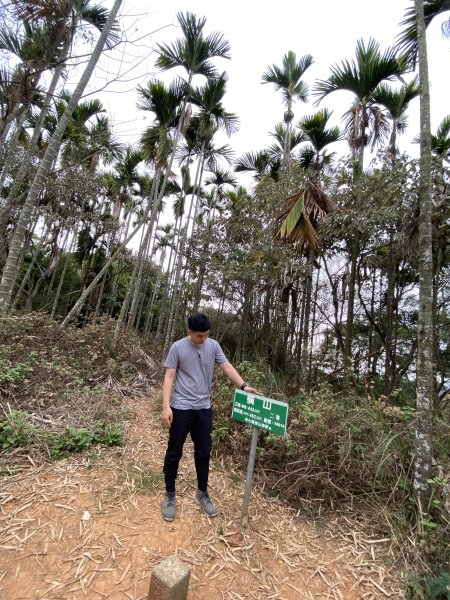 八卦山脈最高峰-橫山914750
