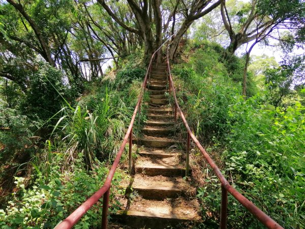 彰化社頭~陡直天梯好視野~中央嶺造林步道封面