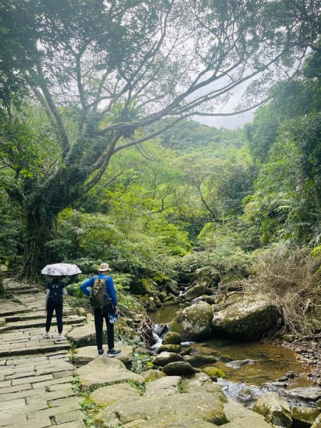 1140928草嶺古道｜福隆-大里天公廟2900274