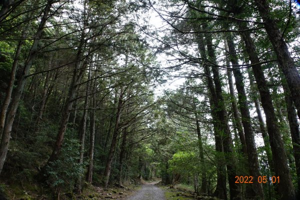 臺中 和平 北三錐山1697911