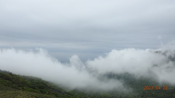 再見陽明山雲瀑，大屯山雲霧飄渺日出乍現，小觀音山西峰賞雲瀑。2123383