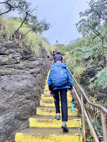 鑽石頭山及珍珠港悠遊  2026.2.213012757