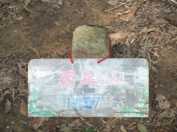 三峽區鳶尾山+福德坑東峰+福德坑山+鳶山彩壁+五十分山+壽山+龍山寺2775756