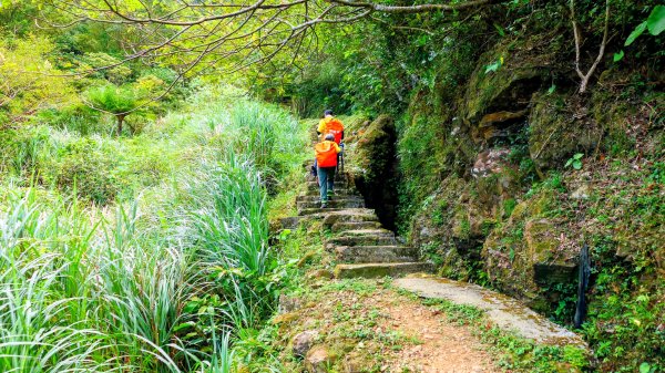 筆架山越嶺2918224