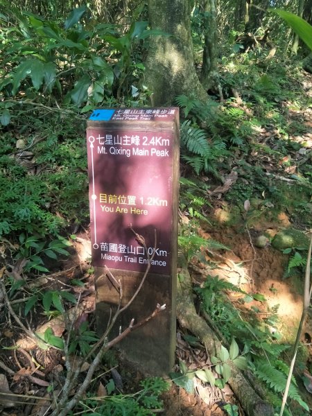 七星山主、東峰登山步道1682131