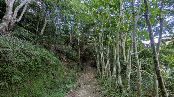 九份二山步道2861244