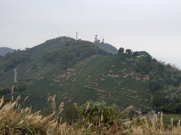 梨子腳山(小百岳#57) & 太平雲梯 (2021/1/29)1423179