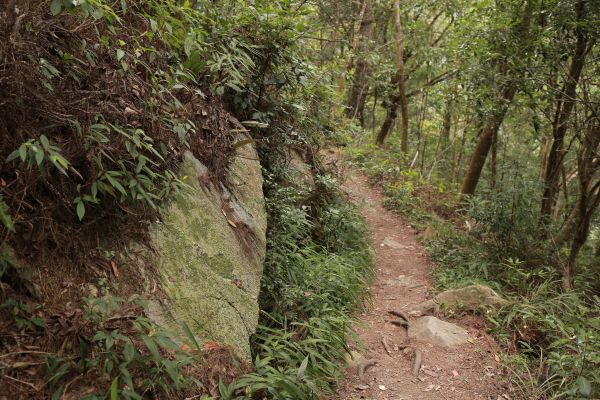 谷關七雄：東卯山187700