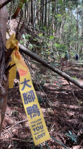 鳶嘴西稜上鳶嘴山-三崠山連走2652148