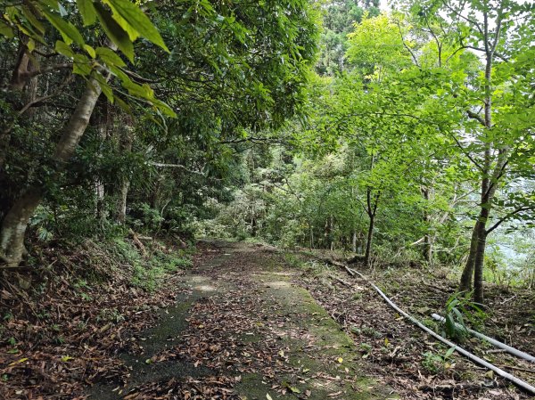 2025_0601 赫威山2802296