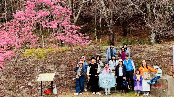 🌈2026.02.14+17武陵櫻花季✨FB：熊熊趴爬走🌈