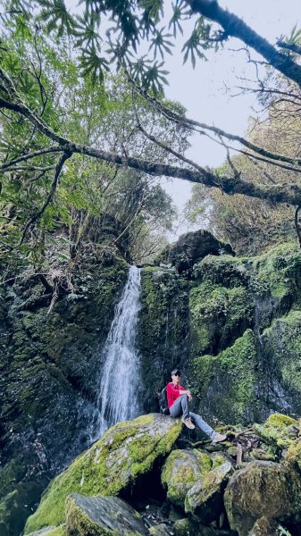 尋幽訪古遊走千年巨木和幻霧美森的樂山林道2882352