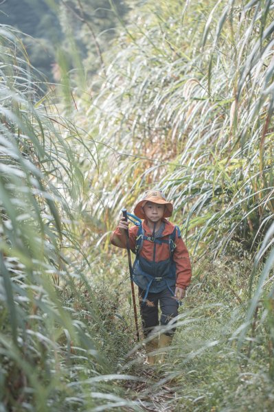 探訪台北溪流之美｜桶後越嶺古道（礁溪-烏來）2911744