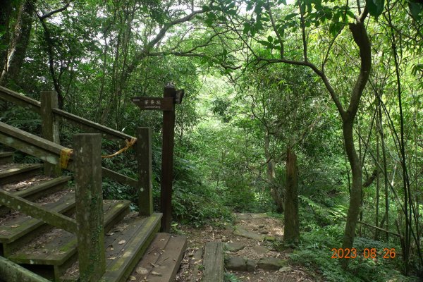 基隆 頂寮山、龍門山、五分山、頂子寮山2265992