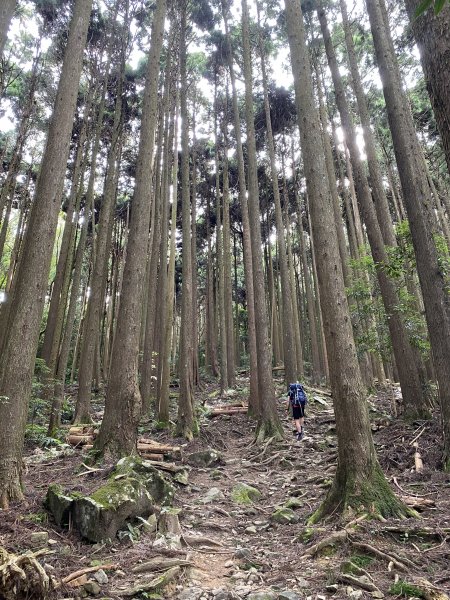 20220618_大坪登山口上加里山1749711