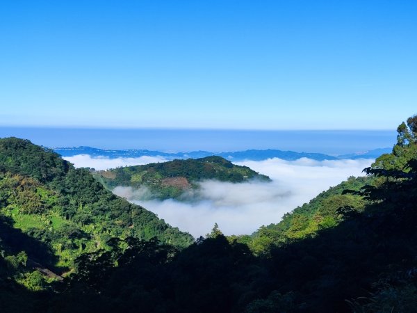 大雪山進屋我尾2652455