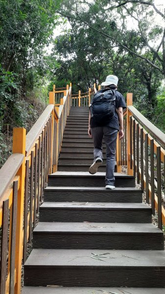 《台中》滿月望月｜霧峰望月峰獻堂登山步道環中心瓏步道及萊園202210101872966