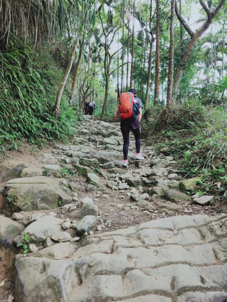 關仔嶺大凍山步道1305772