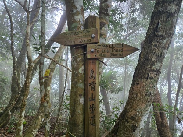 水雲三星～上島山（鳥嘴山）2931242
